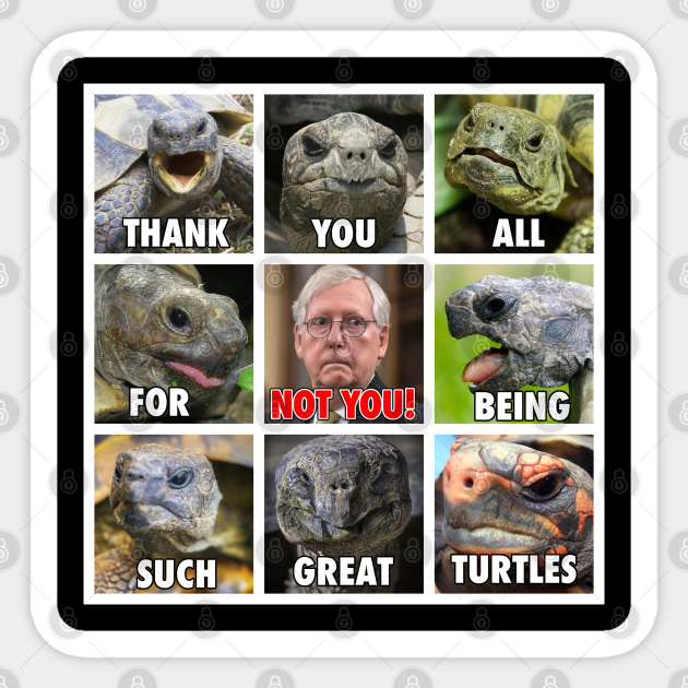 Funny Anti Mitch McConnell Turtle Meme - Mitch Mcconnell Turtle - Sticker | TeePublic Funny Anti Mitch McConnell Turtle Meme - Mitch Mcconnell Turtle - Sticker | TeePublic