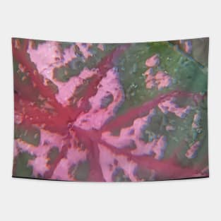 Abstract Caladium In Nature Tapestry