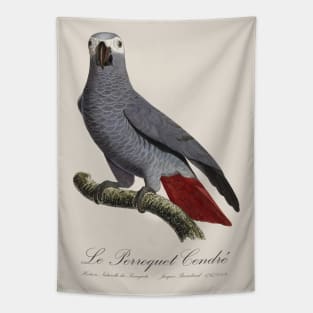 African Grey Parrot / Le Perroquet Cendre - 19th century Jacques Barraband Illustration Tapestry