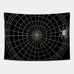 Distressed Spider Web Tapestry