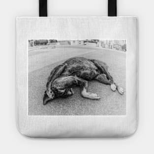 Sleepy Tote