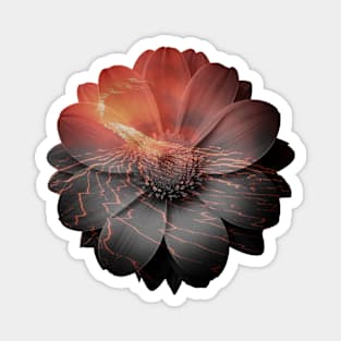 Lava Flower Magnet