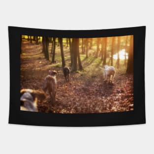 Into the woods Spinone Tapestry