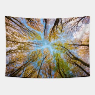 A fun pattern with multicolored fallen leaves, goes great with the autumn aesthetic Tapestry