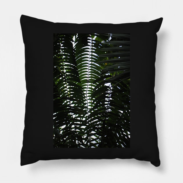 Plant Pillow by nloooo