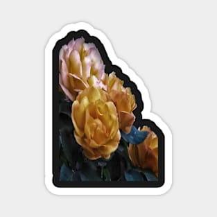 Brian's Roses Magnet