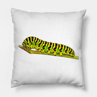 Swallowtail caterpillar Papilio machaon Pillow