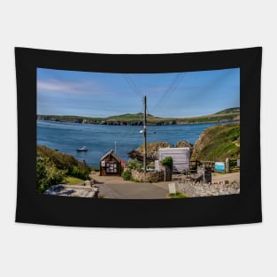 The road to St Justinians Harbour, Pembrokeshire Tapestry