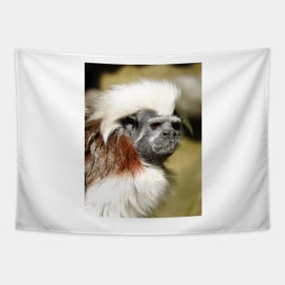 Cotton-top Tamarin Tapestry