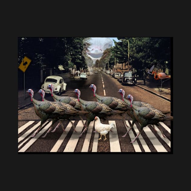 Abbey Road Without Beatles but with Birds by Cole Hunt