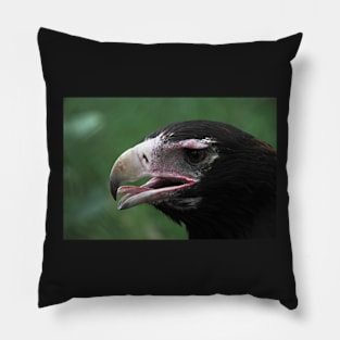 Australian Wedge-tailed Eagle Portrait #1. Pillow