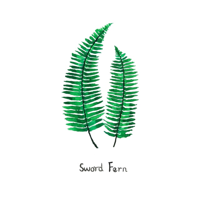 sword fern watercolor by colorandcolor