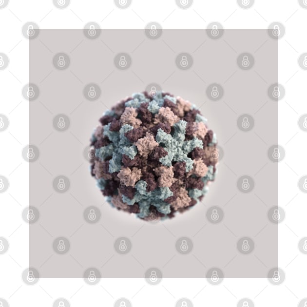 Microscopic Images: Norovirus Virion Close-up by RetroGeek