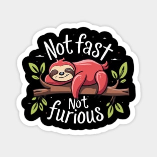 not fast not furious Magnet