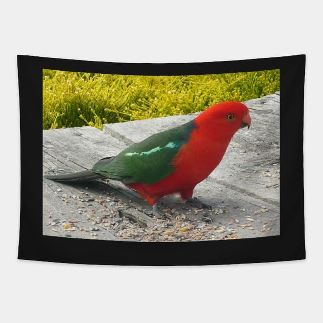 Australian King Parrot Tapestry by rozmcq