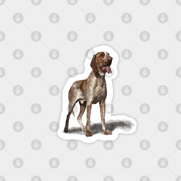 The Bracco Italiano Magnet by Elspeth Rose Design