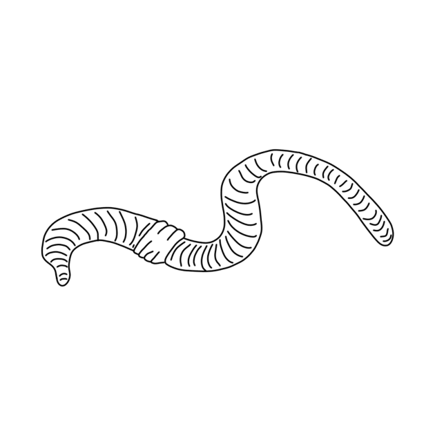 worm by Minimalist Co.