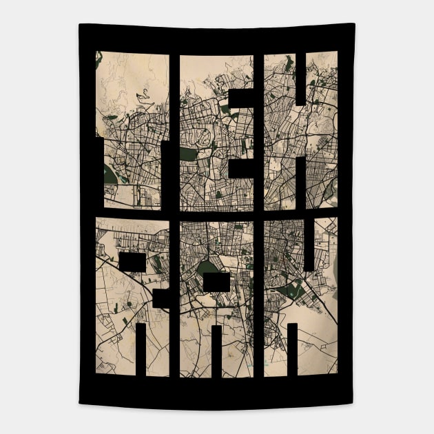 Tehran, Iran City Map - Vintage Tapestry by deMAP Studio