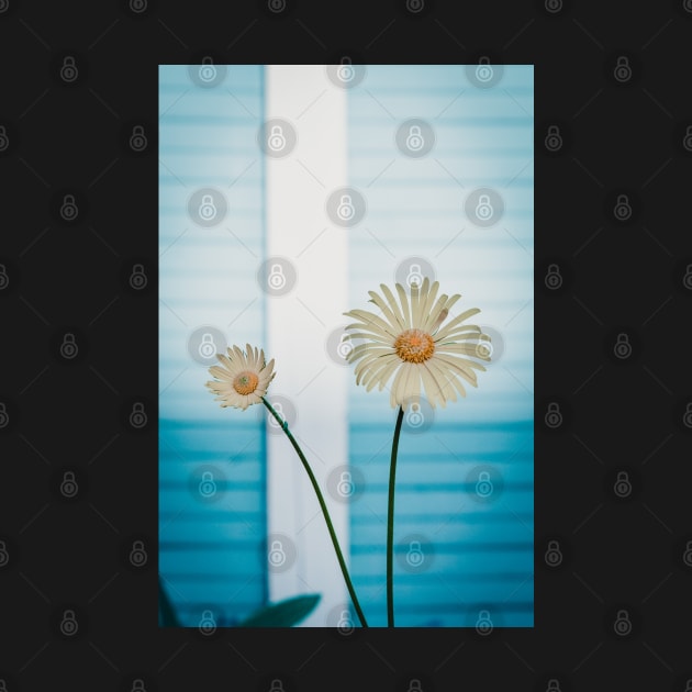 Abstract daisies by SandiLin