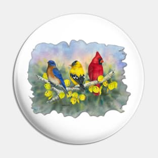 Primary colors Pin