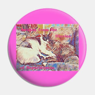 Awaken to the Illusion of Separateness Kitties in Love Pin