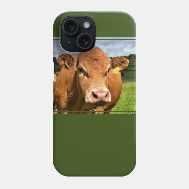 Love Cows Phone Case by DeVerviers