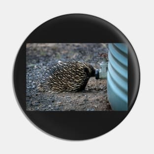 Thirsty Echidna Pin