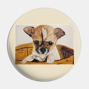 Chihuahua baby Pin