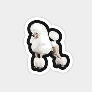 Poodle Standard White Elegance Magnet