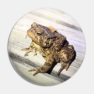 Toad Interrupted Pin