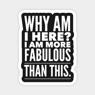 Why am I here? I am more fabulous than this Magnet