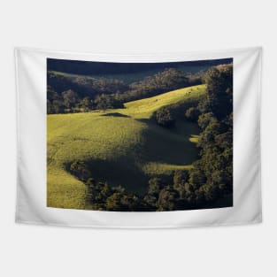 Fields Tapestry