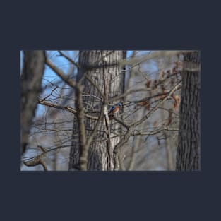 Eastern Bluebird T-Shirt