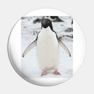 An Adelie penguin, from Antartica Pin