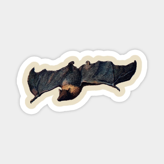 Bat Magnet by aimtrue