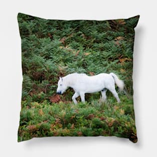 A white horse amongst green and brown ferns, Highlands of Scotland Pillow