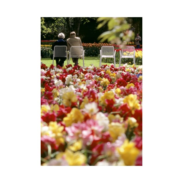 Keukenhof Flower Parade by JonDelorme