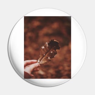 Photo of person holding brown leaf Pin