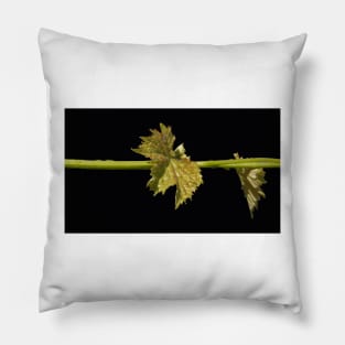 Vine Leaf on black background by Avril Thomas Pillow