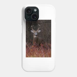 Young Buck - portrait - White-tailed Deer Phone Case