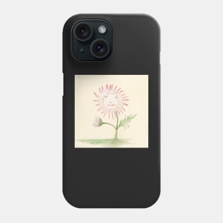Chrysanthemum by Charles Demuth - botanical illustration Phone Case