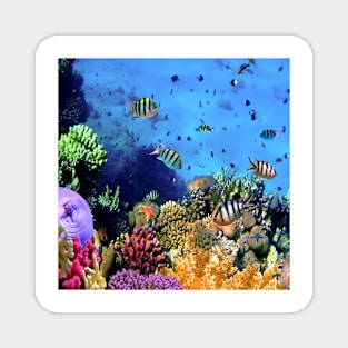 Tropical fish Magnet