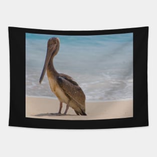 Brown Pelican Tapestry