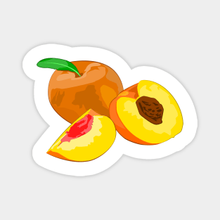 Apricot - Vector Illustration Magnet