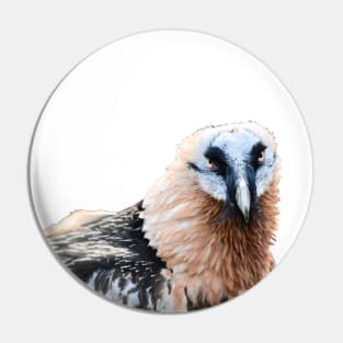 Bearded Vulture the Blink Pin