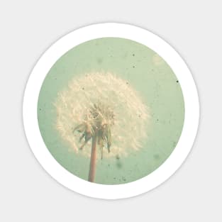 Dandelion Clock Magnet