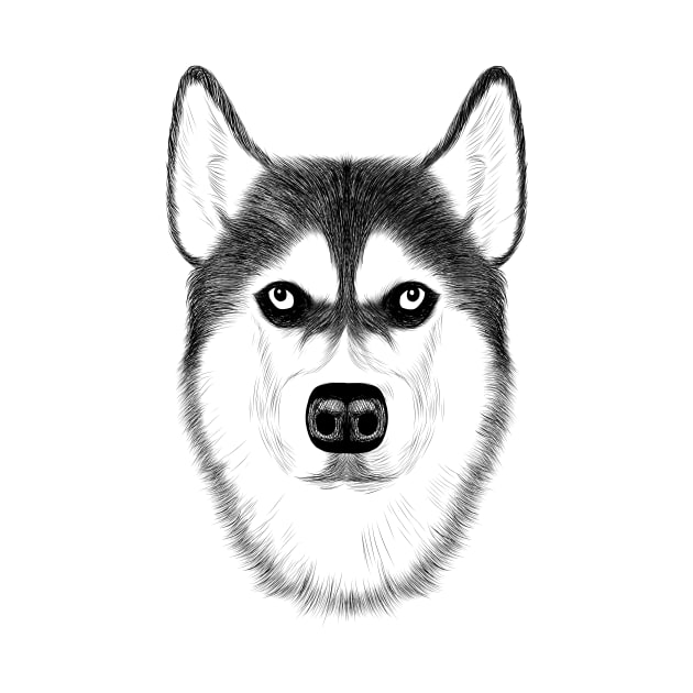 Husky by Aine Creative Designs