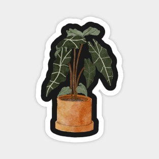 Alocasia Polly Plant Magnet