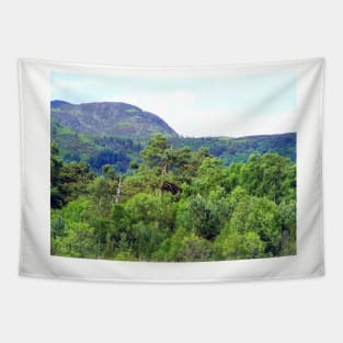 Scottish Highlands Tapestry