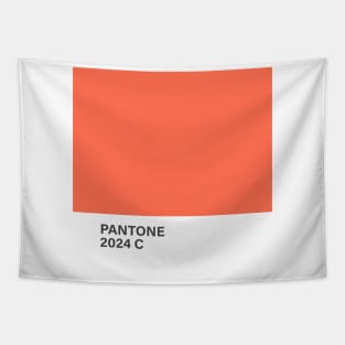 pantone, 2024c, orange, color, 2024 Tapestry